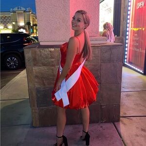 Ashley Lauren Cocktail Dress ♥️